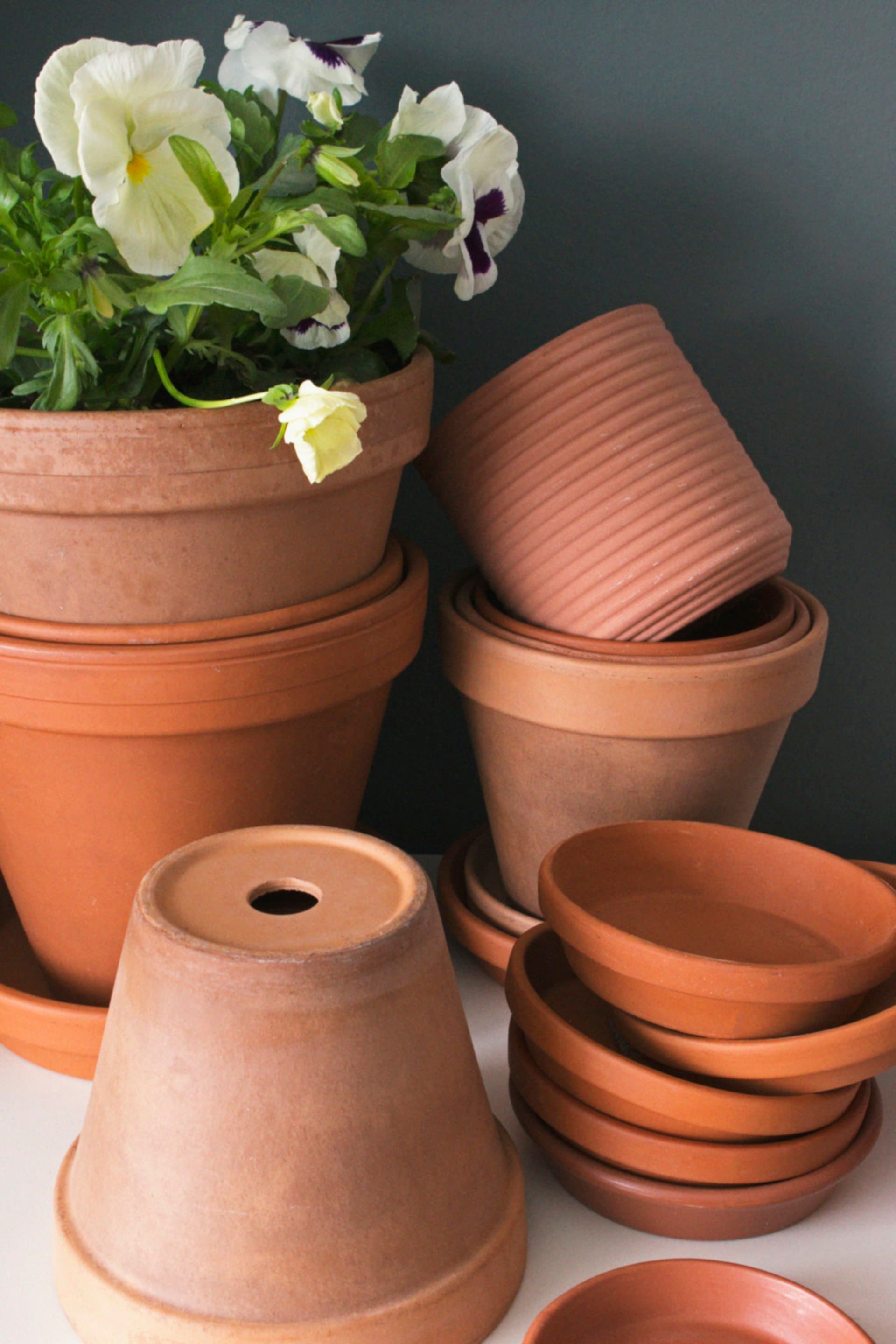 Stacked terracotta pots and saucers, one planted with white pansies